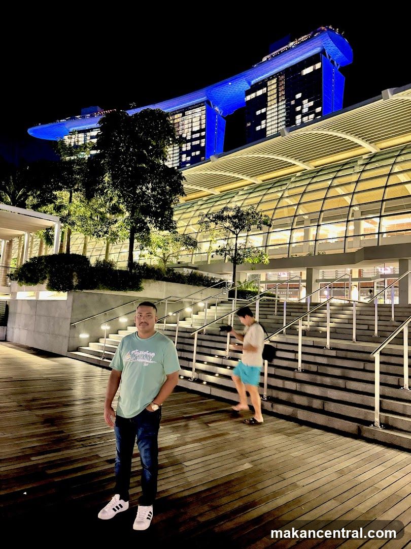 Night view of Marina Bay Sands