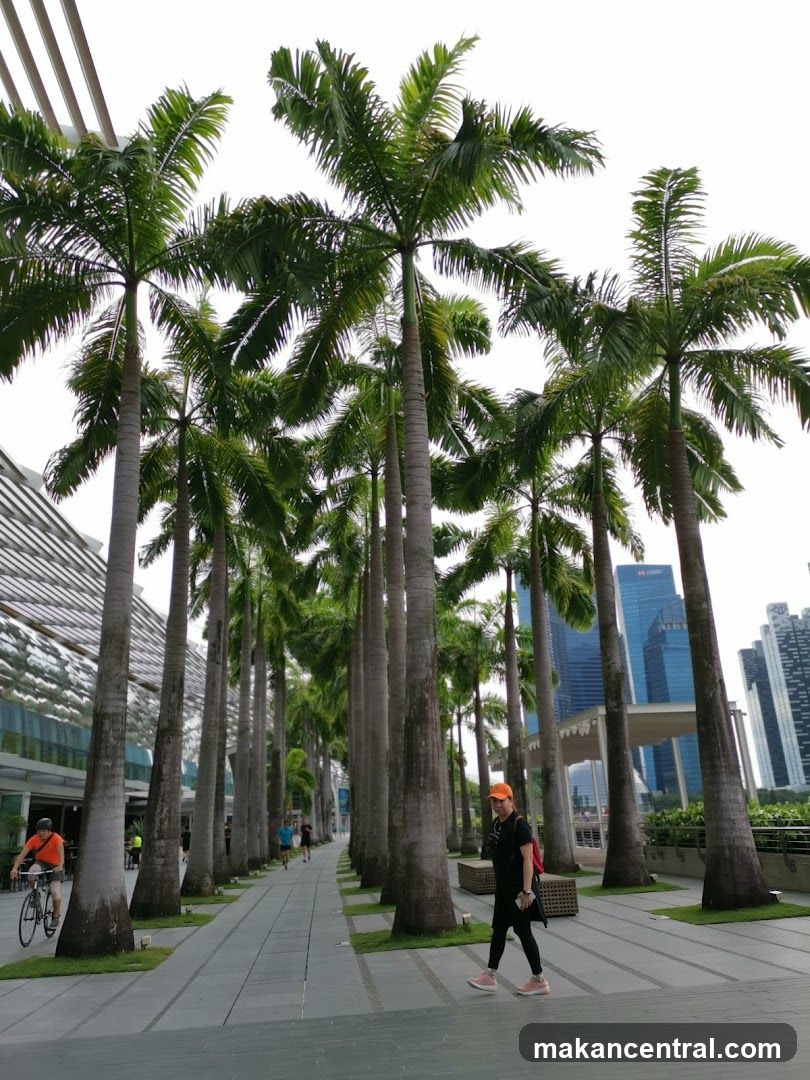 Palm Tree Lined Walkway with City Skyline