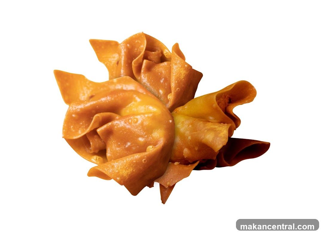 Fried Wonton